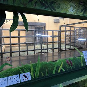 Asian Elephant Indoor Holding