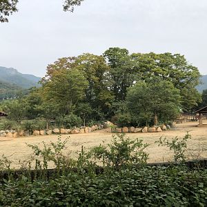 White Rhinoceros Exhibit