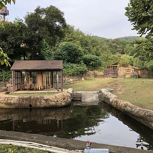 Pygmy Hippopotamus Exhibit