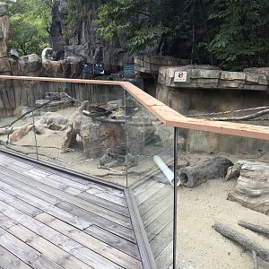 Black-Tailed Prairie Dog Exhibit