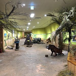 Inside the Hippo House