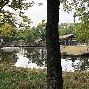 Hippopotamus (Female & Calf) Exhibit