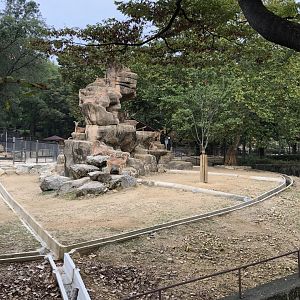 Barbary Sheep Exhibit
