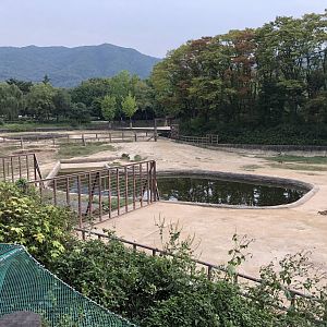 Asian Elephant Exhibit