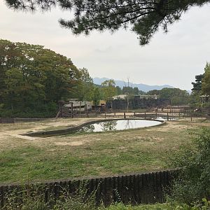 Asian Elephant Exhibit