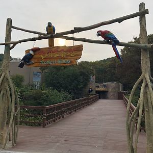 Tropical Wings Entrance
