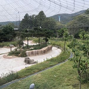 Aviary