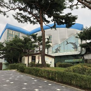 Recently closed Dolphinarium