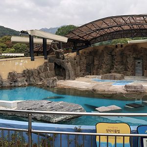 Harbor Seal Exhibit