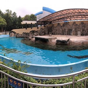 California Sea Lion Exhibit