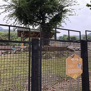 Ezo Sika Deer Exhibit