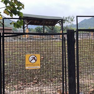 American Elk Exhibit