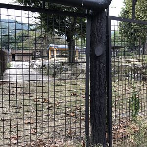 Pere David’s Deer Exhibit