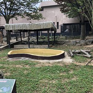 Lowland Tapir, Giant Anteater & Patagonian Mara Exhibit