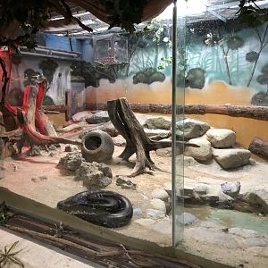 Reticulated Python Exhibit