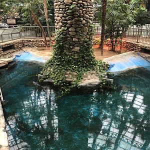 Nile Crocodile Exhibit