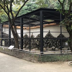 Jaguar Exhibit