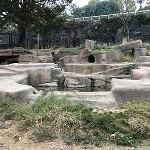 Spotted Hyena Exhibit