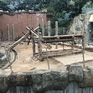 Hamadryas Baboon Exhibit