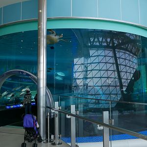 Aquarium in National Maritime Museum