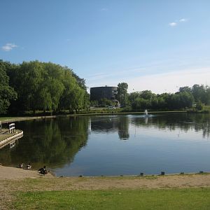 Madsbyparken - Lake