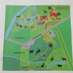 Zoo Map (zoo is divided by a road)