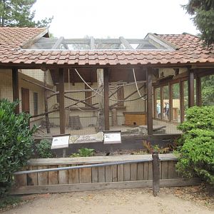 Common Squirrel Monkey/Rock Cavy Exhibit