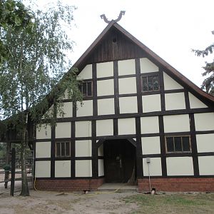 Plains Zebra/Ostrich House