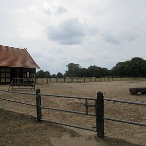Kulan/Bactrian Camel Exhibit
