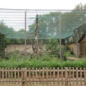 Puma - outdoor exhibit