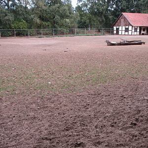 Banteng/Blackbuck Exhibit