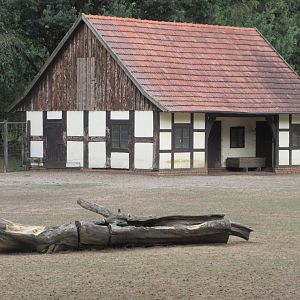 Banteng/Blackbuck Exhibit - Barn