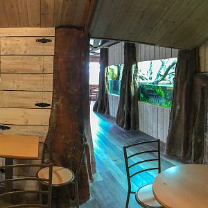 Coffee shop / Aquarium : Hamerton : 29 Sep 2019