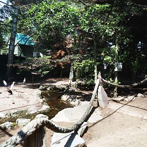 Old walk-through aviary, 2019-08-04
