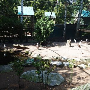 Old walk-through aviary, 2019-08-04