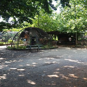 Park view near nursery and aviaries, 2019-08-04