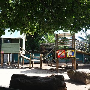 Pygmy goat petting paddock, 2019-08-04
