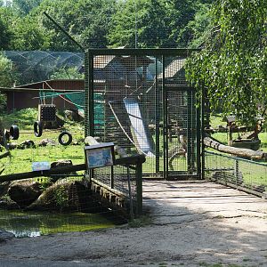 Keeper access bridge and gate to the Black-capped capuchin - Capybara - Reeves's muntjac island, 2019-08-04