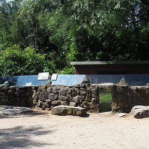 Meerkat exhibit, 2019-08-04