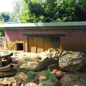 Meerkat exhibit, 2019-08-04