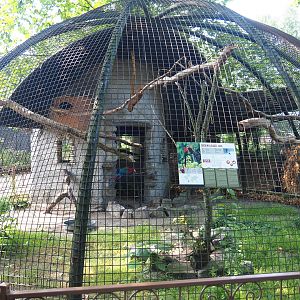 Green-winged macaw aviary, 2019-08-04