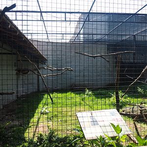 Blue-and-gold macaw and Great curassow aviary, 2019-08-04