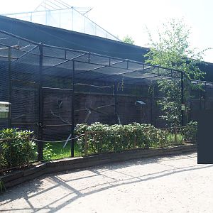 Block of aviaries with mostly larger parrots and some other birds outside the tropical house, 2019-08-04