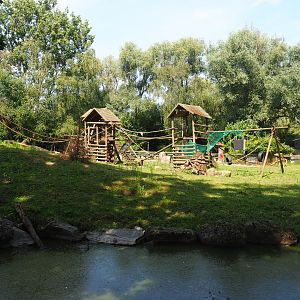 Black-capped capuchin, capybara and Reeves's muntjac island, 2019-08-04