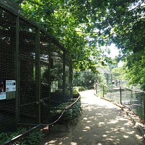 Pathway and viewing area in between raptor and owl aviaries and crane exhibits, 2019-08-04