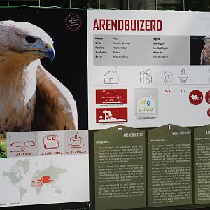 Long-legged buzzard signage, 2019-08-04