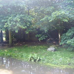 Blue crane exhibit, 2019-08-04