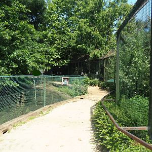 Pathway and viewing area in between crane exhibits and raptor aviaries, 2019-08-04