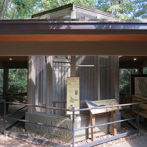 Peregrine Falcon Exhibit 1