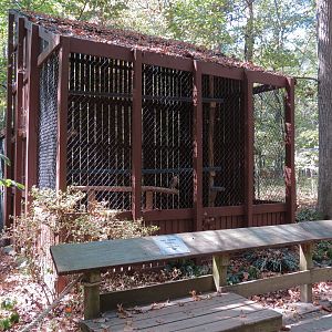 Peregrine Falcon Exhibit 2